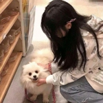 阳光养猪场升级版本下载